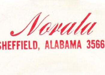 Quin Ivy: Norala Studio