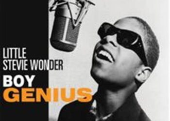 Little Stevie Wonder