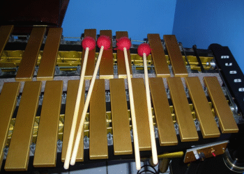 Percussion Session Musicians at Motown